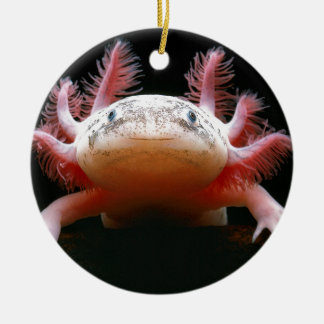 Décoration En Céramique Axolotl Axolotl.png