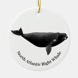 Décoration En Céramique Baleine noire de l'Atlantique Nord Eubalaena Glaci