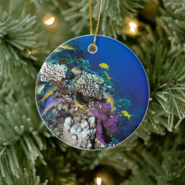 Décoration En Céramique Banc de rougets autour d'un petit corail (Arbre)