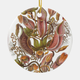 Décoration En Céramique Beau dessin plante de lanceur par Haeckel
