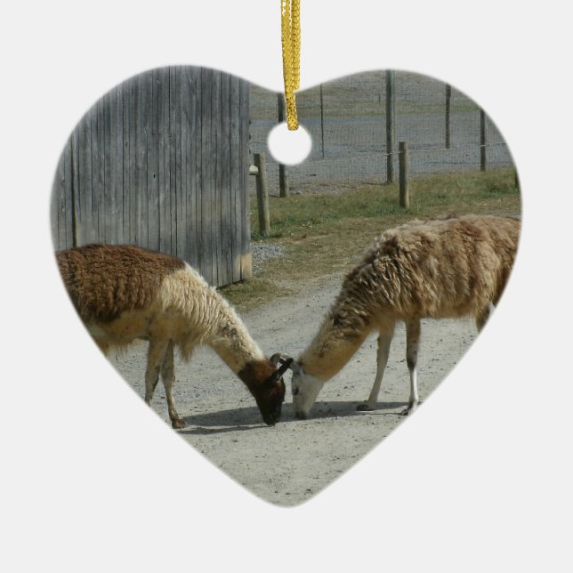 DÉCORATION EN CÉRAMIQUE BEAU, PAISIBLE, LAMAS (Devant)