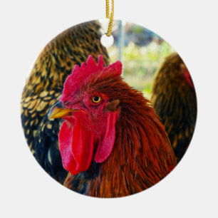 Décoration En Céramique Beau Rooster