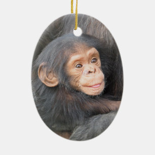 Décoration En Céramique Bébé chimpanzé