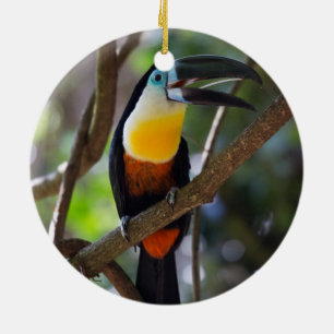 Décoration En Céramique Bel oiseau de toucan dans un paysage de nature
