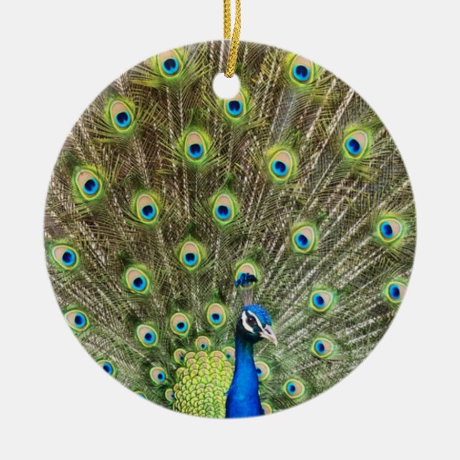 Décoration En Céramique Bel oiseau paon (Devant)