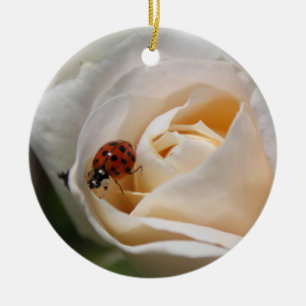 Décoration En Céramique belle rose blanche fleur et coccinelle