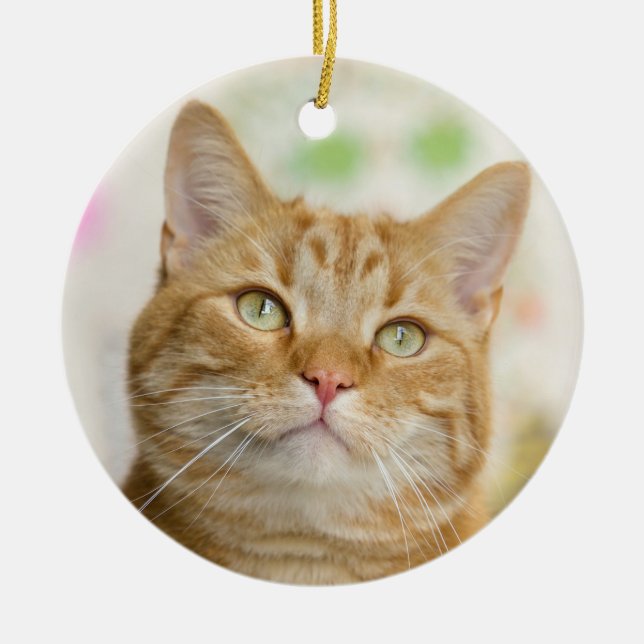 Décoration En Céramique Belle Tabby Orange Gros plan (Devant)