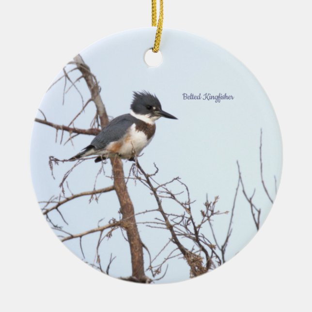 Décoration En Céramique Belted Kingfisher Bird Ornament  (Devant)