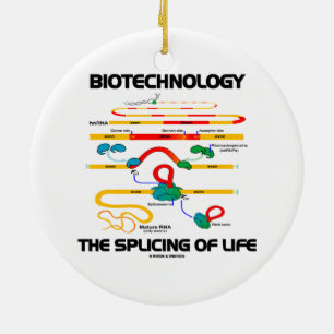 Décoration En Céramique Biotechnologie l'épissure de la vie (ARN mûr)