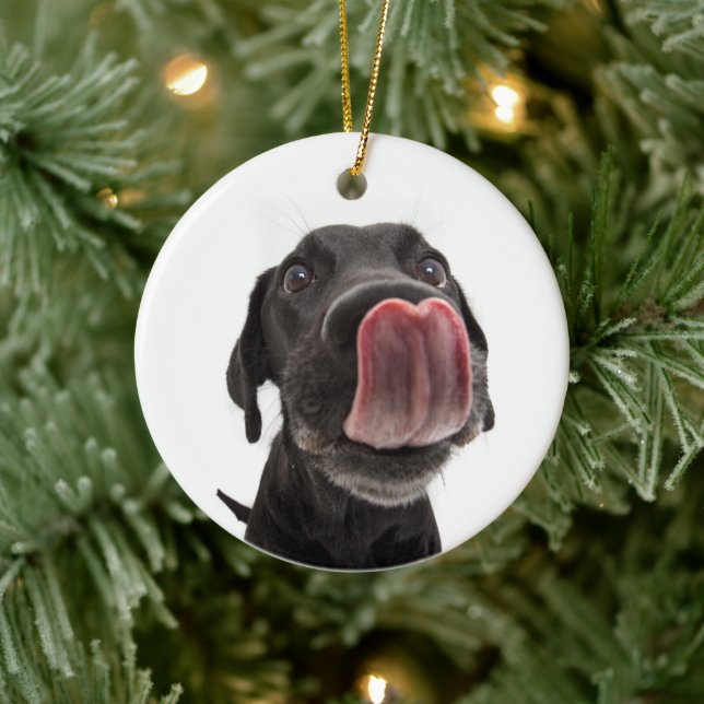 Décoration En Céramique Black Labrador Licking (Arbre)