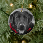 Décoration En Céramique Black Labrador Photo Pet Dog<br><div class="desc">Black Labrador Photo Pet Dog Ceramic Ornament</div>