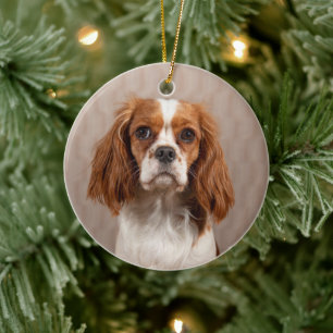 Décoration En Céramique Blenheim Cavalier le roi Charles Spaniel