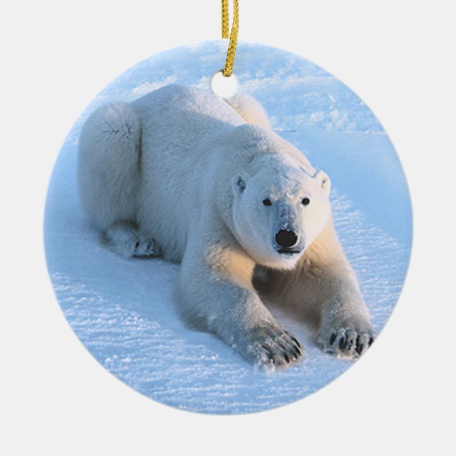 Décoration En Céramique Bleu d'ours blanc (Devant)