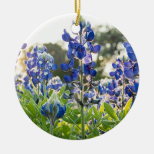 Décoration En Céramique Bluebonnets Fleurs bleues Texas Texan Lupine