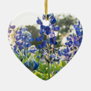 Décoration En Céramique Bluebonnets Fleurs bleues Texas Texan Lupine