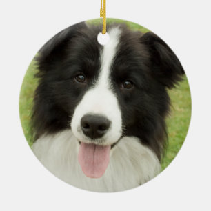 Décoration En Céramique Bordure Collie