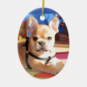 Décoration En Céramique Bouledogue français chiot mignon
