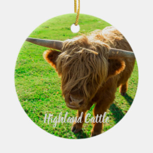 Décoration En Céramique bovin de Highland bovin pour animal et amoureux de