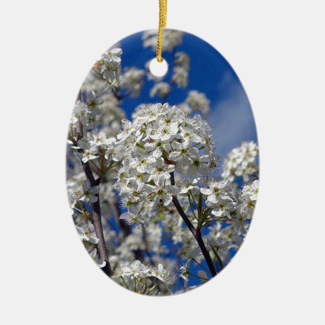 Décoration En Céramique Bradford Pear Blooms (Devant)