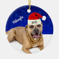 Maltais portant un chapeau de Noël couronne cadeau pour chien