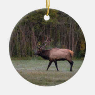 Décoration En Céramique Bull Elk Morning Walk