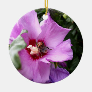 Décoration En Céramique Bumblebebe sur la fleur d'Hibiscus