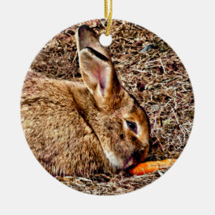 Décoration En Céramique Bunny Nibbling Carrot