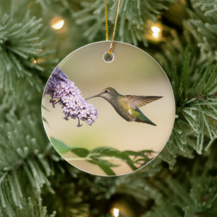 Décoration En Céramique Cadeau de Fête d'Anna's Hummingbird