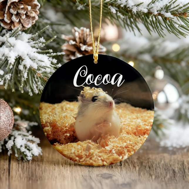 Décoration En Céramique Cadeau De Hamster Cute Pour Les Amateurs De Hamste (Créateur téléchargé)