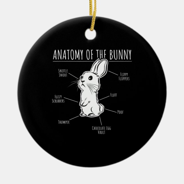 Décoration En Céramique Cadeau lapin |Anatomie De Lapin Mignonne Rabbit Am (Devant)