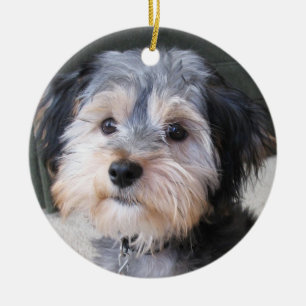 Décoration En Céramique Cadre personnalisé de photo de chien - DOUBLE FAC