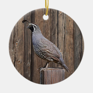 DÉCORATION EN CÉRAMIQUE CALIFORNIA QUAIL À BARNBOARD