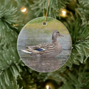 Décoration En Céramique Canard colvert dans une flaque d'eau