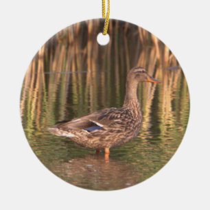 Décoration En Céramique Canard de Majard dans l'ornement d'eau