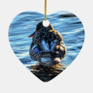 Décoration En Céramique Canard de Mallard dans la rivière Winter - Photo F