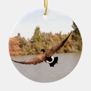 Décoration En Céramique canard volant au-dessus de l'eau photographie