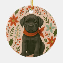 Cane Corso Noël
