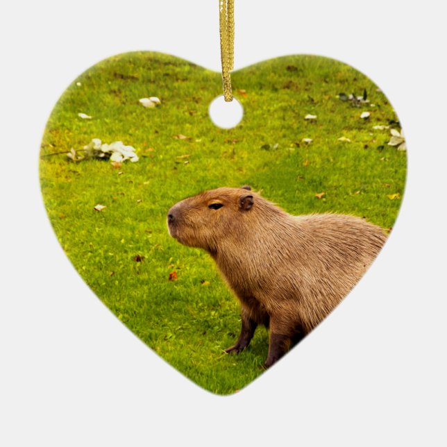 Décoration En Céramique Capybara (Devant)