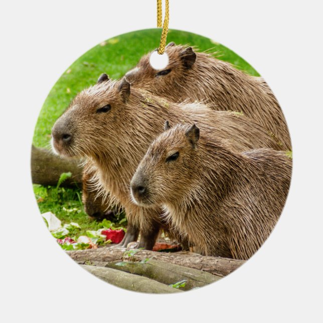 Décoration En Céramique Capybara Trio (Devant)