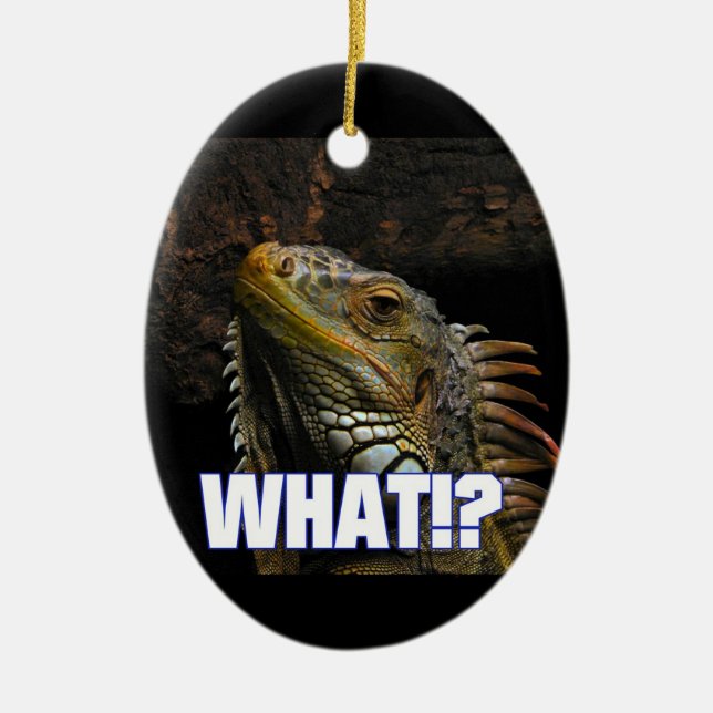Décoration En Céramique Ce qui ! ? Iguane (Devant)