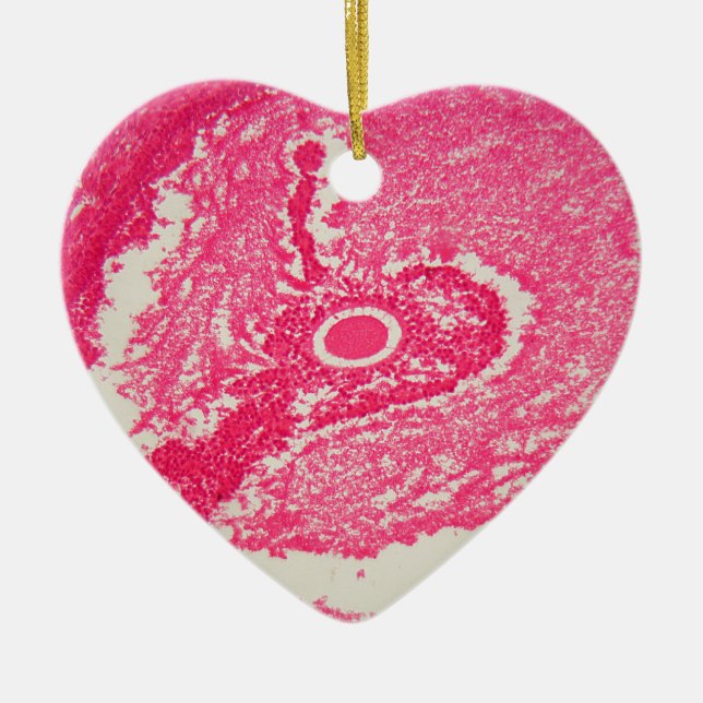 Décoration En Céramique Cellules d'ovaire sous le microscope (Devant)