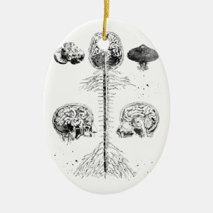 Décoration En Céramique Cerveau et colonne vertébrale
