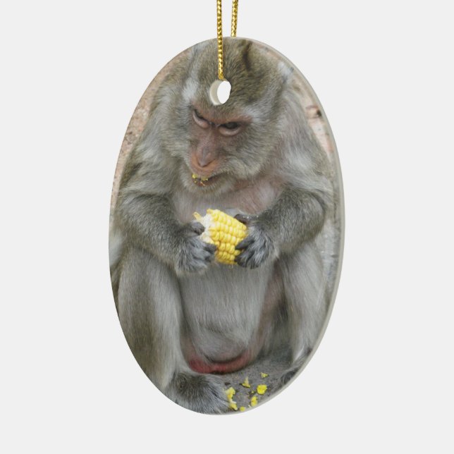 Décoration En Céramique C'est à moi ! ! ... Singe Macaque thaïlandais sauv (Gauche)