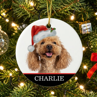 Décoration En Céramique Chapeau de Noël pour chien personnalisé avec photo