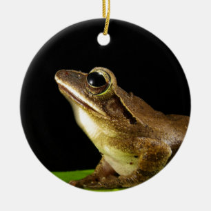 Décoration En Céramique Charmante grenouille sur un tapis de Lily, Lys d'e
