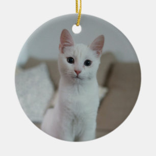 Décoration En Céramique chat blanc   Zazzle_Growshop.