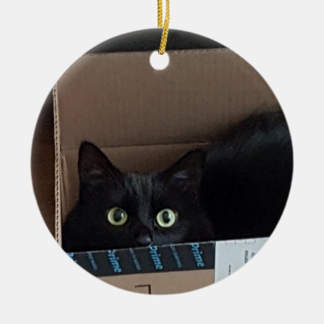 Décoration En Céramique Chat dans une boîte (Devant)