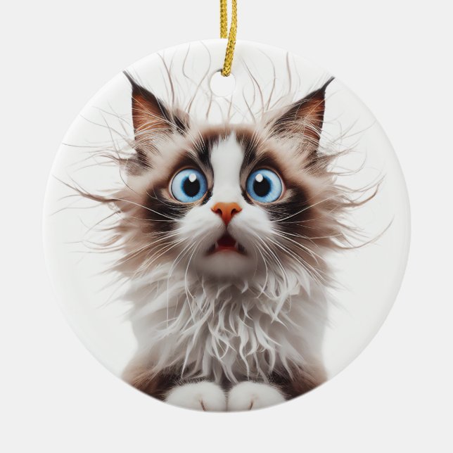 DÉCORATION EN CÉRAMIQUE CHAT FUNNY RAGDOLL SURPRISE CHAT VISAGE (Devant)