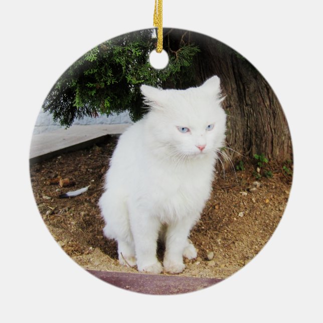 Décoration En Céramique Chat qui fait caca (Dos)