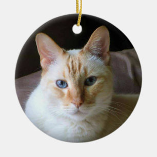 Décoration En Céramique Chat siamois avec les yeux bleus